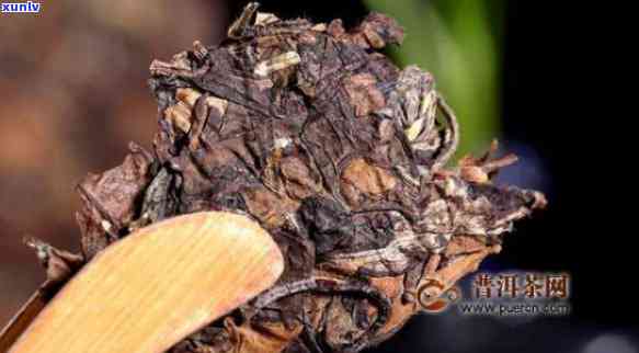 茶叶饼好还是散的好-茶叶饼好还是散的好呢