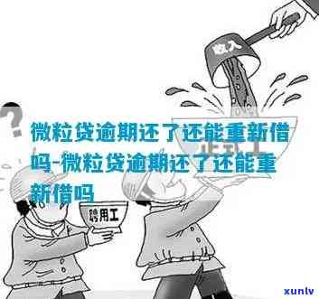 微整消费贷逾期不还-微整消费贷逾期不还会怎么样