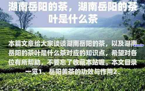 阳哪里产茶叶，探寻湖南好茶：揭秘阳的茶叶产地