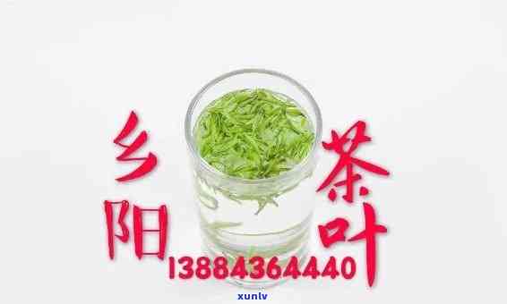 阳哪里产茶叶，探寻湖南好茶：揭秘阳的茶叶产地