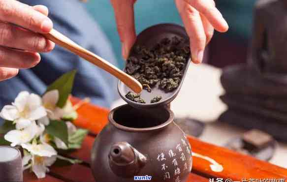 哪种茶叶养壶效果好耐用，探讨茶叶养壶：哪种茶叶效果更佳，更耐用？