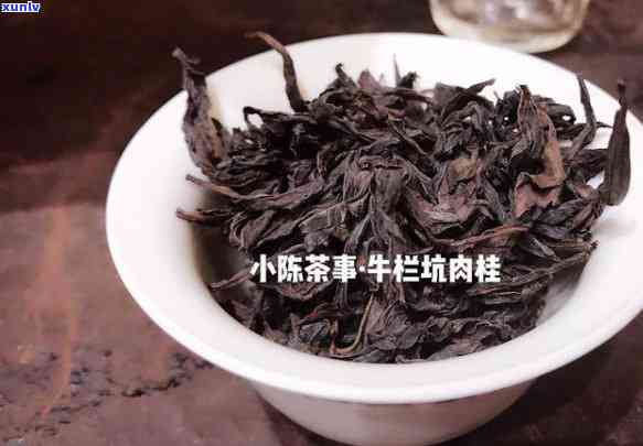 什么杯泡茶叶茶用？绿茶、白茶、乌龙茶适合哪种杯型？