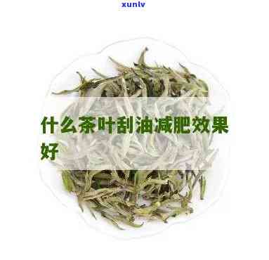 哪个茶叶减肥效果好-刮油最狠的四种减肥茶