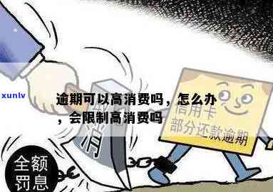 账单逾期限制高消费-账单逾期限制高消费怎么办