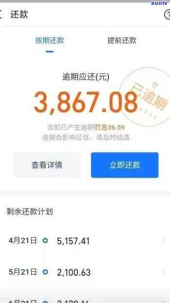 支付宝逾期后期消费-支付宝逾期后期消费有影响吗