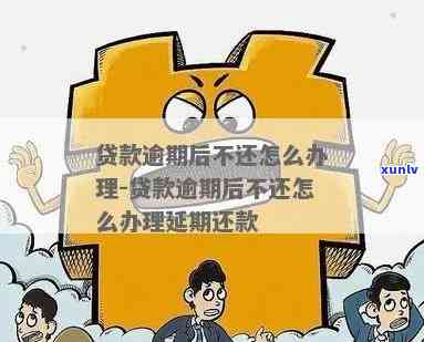 顶级翡翠手镯欣赏与选购指南：价位与品质的关键因素