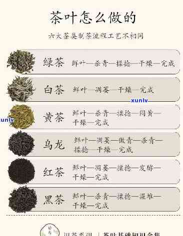 哪种茶叶祛湿效果好一点？专家推荐的选择！