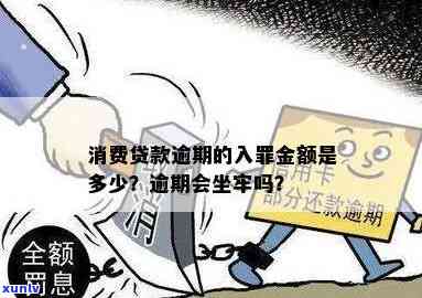 消费贷逾期可以入刑吗，逾期消费贷是不是可能被追究刑事责任？