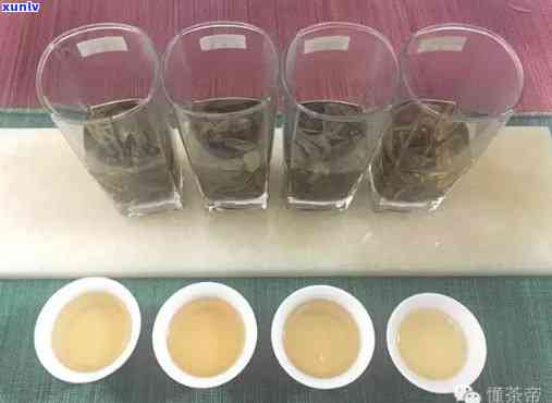 纯净水泡茶叶好还是不好？视频解析对比实验结果