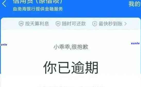 借呗逾期被限制消费怎样解决？