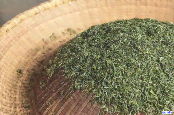 烤茶叶的度多高好-烤茶叶的度多高好呢