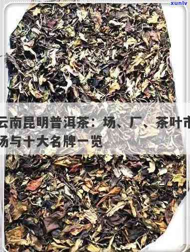 昆明茶叶市场哪个好-昆明市茶叶场在哪里