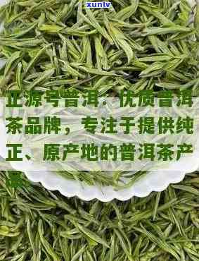 哪一年普洱茶的品质？探究年份、产地和 *** 工艺对普洱茶品质的影响