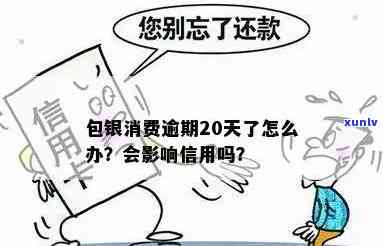 包银消费逾期怎么办理，怎样解决包银消费逾期？一份全面的解决方案