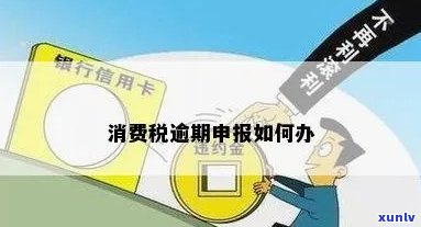 消费税逾期申报流程是什么，消费税逾期申报流程详解