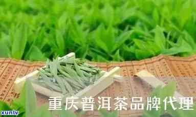 重庆茶叶老字号-重庆茶叶老字号有哪些