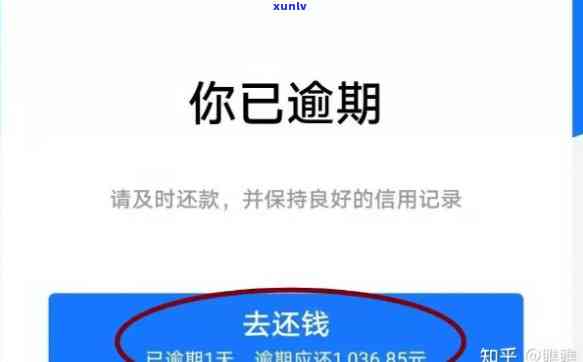 支付宝贷款逾期会上吗，支付宝贷款逾期是不是会作用个人？