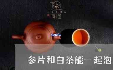 参片与茶叶可一起喝-参片与茶叶可一起喝吗功效