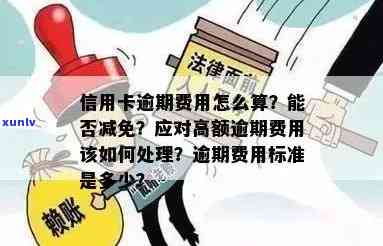 欠款逾期限制高消费：怎样解决及办理？