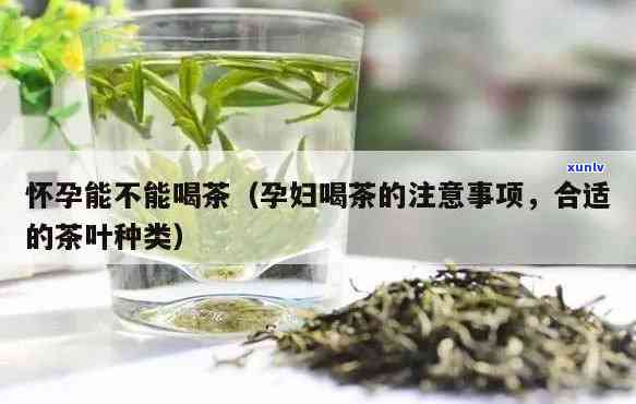 茶叶孕妇可不可以喝？科学解析孕期饮茶禁忌与好处