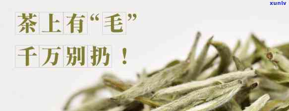 茶叶上面有毛可以喝吗？解析茶叶上的毛是否安全可饮用