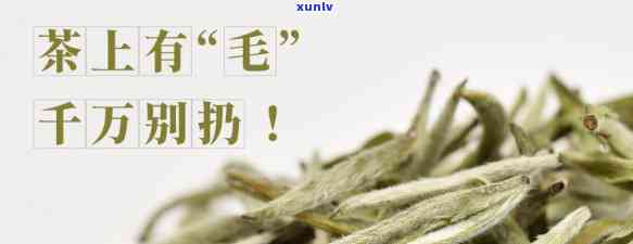 茶叶上的毛能不能喝-茶叶上的毛能不能喝掉