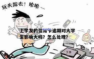 欠款逾期：户地调查对孩子上大学的作用