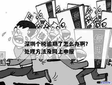 深圳市地税申报逾期-深圳市地税申报逾期怎么解决