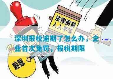 深圳市地税申报逾期-深圳市地税申报逾期怎么处理