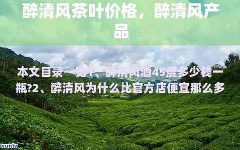 醉清风茶叶多少一盒-醉清风官网