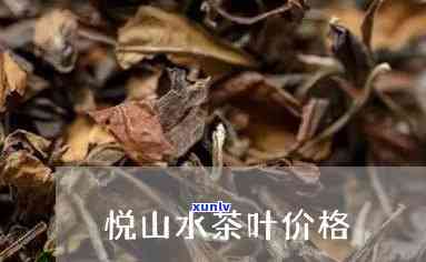 隐山隐水茶：产地、价格全解析