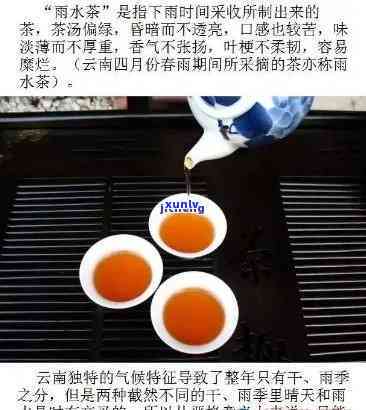 水云间茶叶价格，探秘水云间茶叶：价格、品质与购买指南