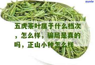 五虎茶叶，品味五虎茶叶，领略大自然的馈赠