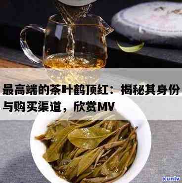 更高端的茶叶鹤顶红-鹤顶红 茶