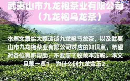 利川市九龙茶业官网： *** 信息、联系方式全在这里