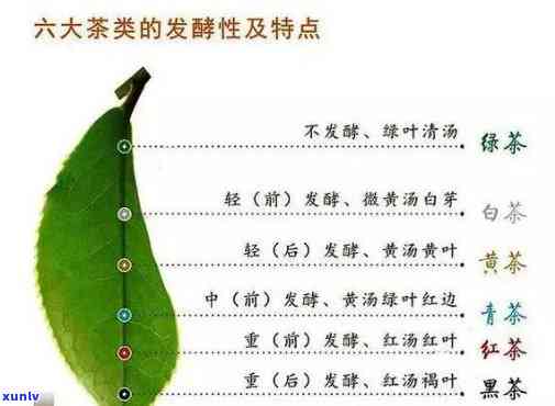 茶叶中含有的物质及其种类与作用