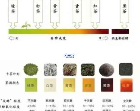 茶叶鉴别：如何分明前明后暗？附图解析