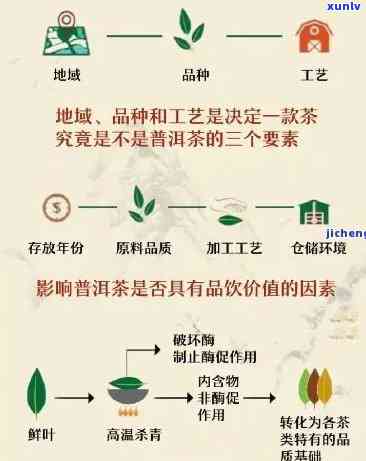 探究茶叶变化：从采摘到冲泡的全过程——一篇400字的茶叶变化作文