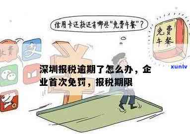 深圳报税逾期解决办法：逾期解决流程及留意事