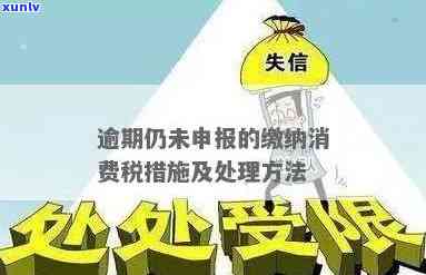 税收逾期未申报：怎样解决及可能的法律结果