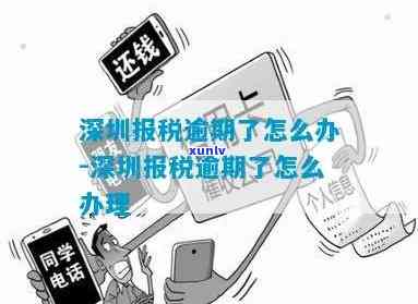 深圳报税逾期了？别慌！怎样解决看这里