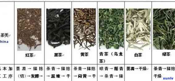 茶叶还有哪些别称？探讨茶叶的多种名称