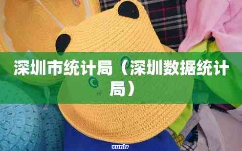 深圳统计局网站，深圳统计局官方网站：权威数据与最新信息一网打尽！