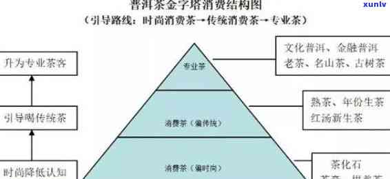 茶叶经销商渠道维护方案：完整指南与实例分析