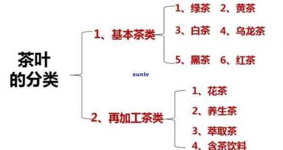 茶叶最开始用作什么？探索其历用途与演变过程