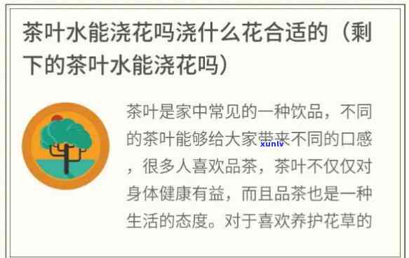 茶叶水可以浇什么花好，茶叶水的神奇用途：揭秘适合浇灌的花卉种类