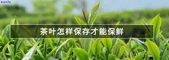 茶叶保管的注意事-茶叶保管的注意事有哪些