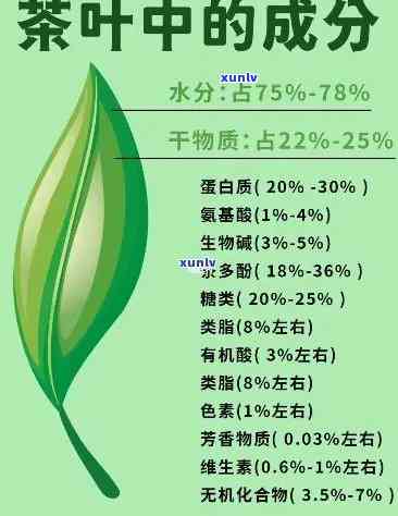 茶叶维生素抗氧化剂：成分、作用与种类全解析