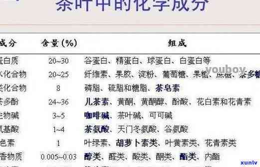 茶叶维生素抗氧化剂：成分、作用与种类全解析