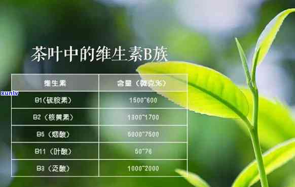 茶叶中的维生素：揭示其作为抗氧化剂的作用与重要性